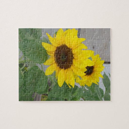 Deux puzzle de tournesol (Horizontal)