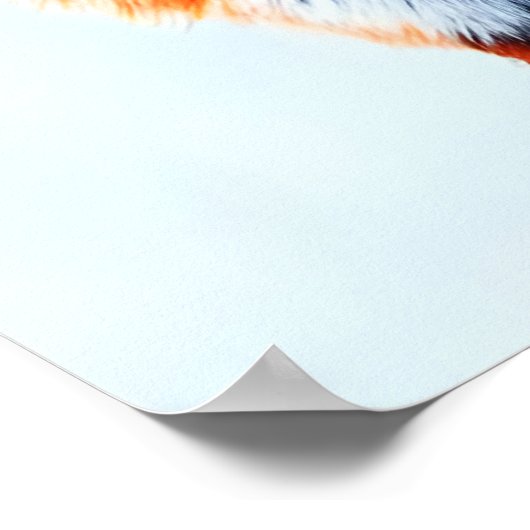 Deux renards rouges dans la neige | AI Art Poster (Coin)