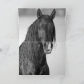 Deux Renforts Stallion - Cartes de Voeux (Intérieur)