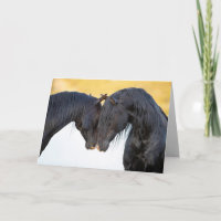 Deux Renforts Stallion - Cartes de Voeux