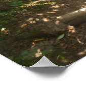 Deux routes ont été déviées dans une affiche en bo (Coin)