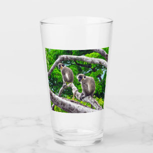 Deux Singes Vertes Assis Dans Un Verre D'Arbre