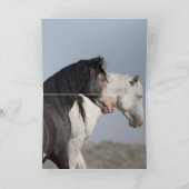 Deux Stallions Sauvages - Carte de voeux pour Chev (Intérieur)
