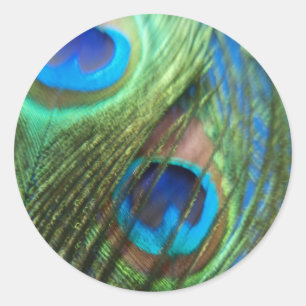Deux Stickers Peacock Bleu Plumes