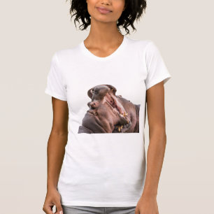 Deux T-shirt de l'hippo à la grande bouche