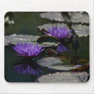 Deux tapis de souris Nénuphars de Lotus pourpres