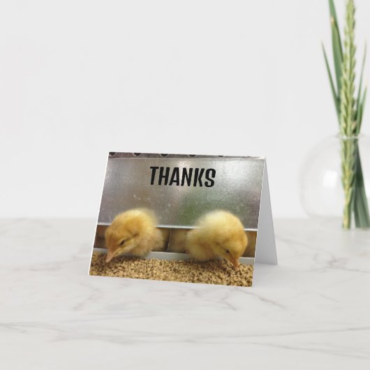 deux têtes merci (Devant)