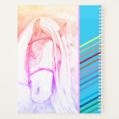 Deux tons (arc-en-ciel) (Dos)