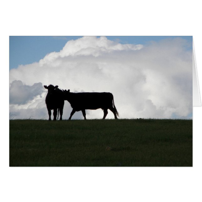 Deux vaches noires (Devant Horizontal)