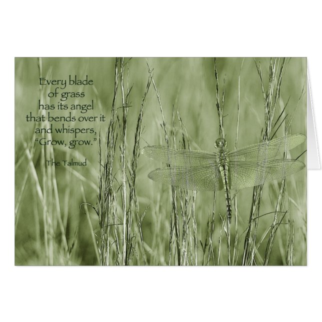 Développez-vous, développez-vous… (Devant horizontal)