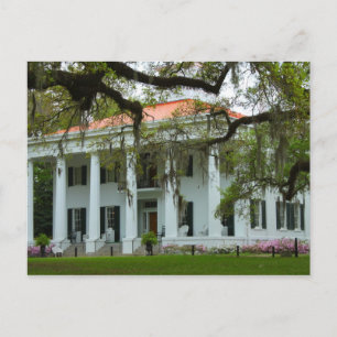 D'Evereux Antebellum Home - Natchez, MS Briefkaart