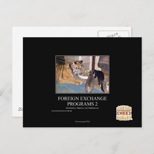 Deviezenprogramma's 2 briefkaart (Voorkant / Achterkant)