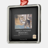 Deviezenprogramma's 2 metalen ornament (Links)