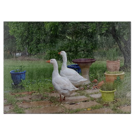 Devil Ducks Glass Chopping Board Snijplank