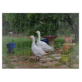 Devil Ducks Glass Chopping Board Snijplank