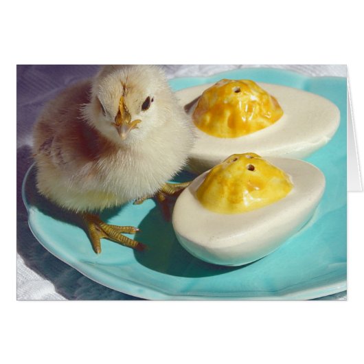 Deviled Eggs en the Chick (Voorkant Horizontaal)