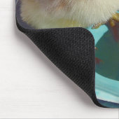 Deviled Eggs en the Chick Muismat (Hoek)