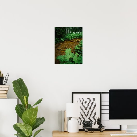 Devils Club voering a stream in Mt. Rainier Poster (Thuiskantoor)