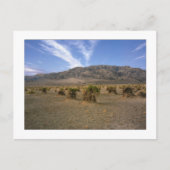 "Devils Cornfield" Briefkaart (Voorkant)