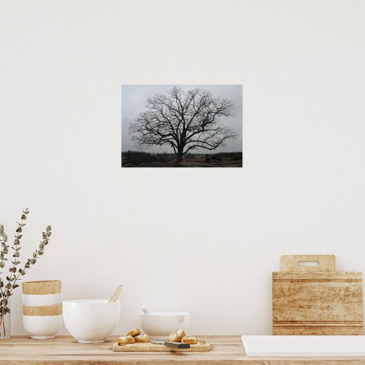 Devils Den Tree Poster (Keuken)