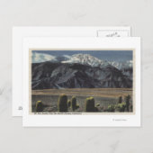 Devil's Garden Uitzicht van Mt. San Jacinto # 2 Briefkaart (Voorkant / Achterkant)