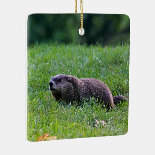 Devil's Hole Digger Keramisch Ornament (Rechts)