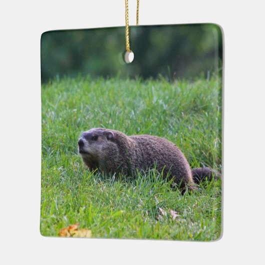 Devil's Hole Digger Keramisch Ornament (Links)