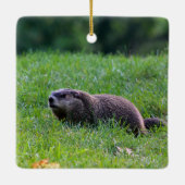 Devil's Hole Digger Keramisch Ornament (Achterkant)