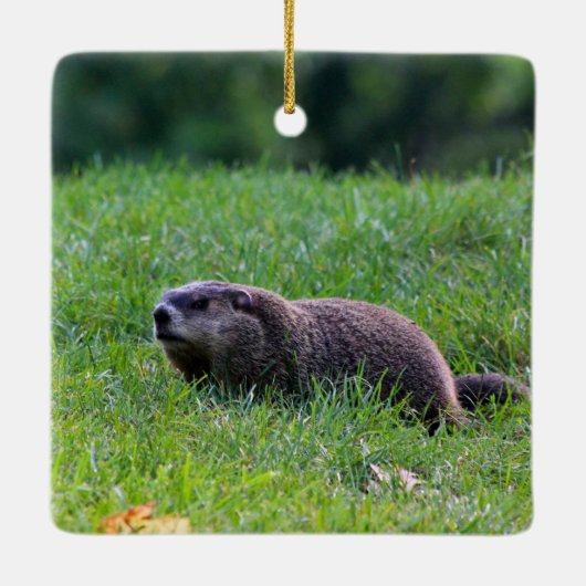 Devil's Hole Digger Keramisch Ornament (Achterkant)