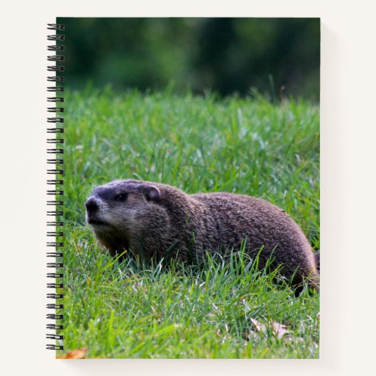 Devil's Hole Digger Notitieboek (Voorkant)