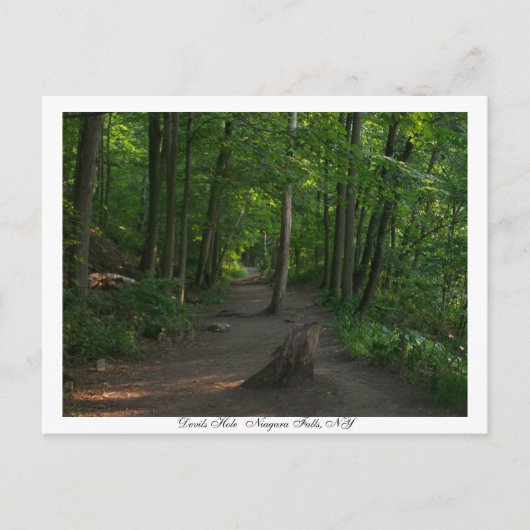 Devils HoleNiagara Herfsten, NY Briefkaart (Voorkant)