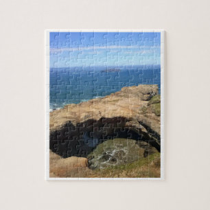 Devil's Punchbowl & Otter Rock, OR Legpuzzel