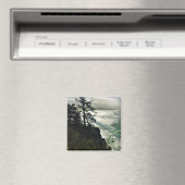 Devil's Punchbowl State Park, Newport, Oregon Magneet (Insitu (Vaatwasser))