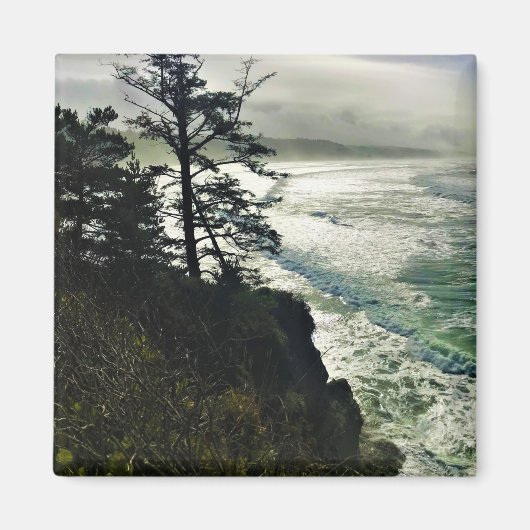 Devil's Punchbowl State Park, Newport, Oregon Magneet (Voorkant)