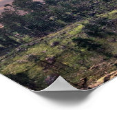 Devils Tower Amazing Clouds Poster (Hoek)