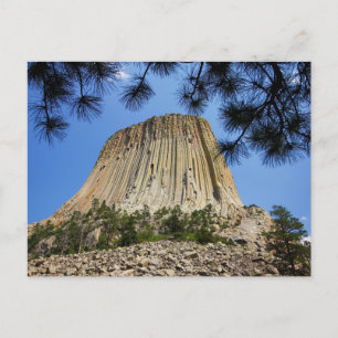 Devil's Tower, Devil's Tower National Monument (WY Briefkaart