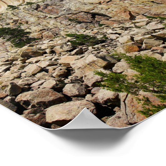 Devil's Tower, Devil's Tower National Monument (WY Poster (Hoek)