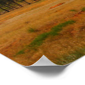 Devil's Tower, Devil's Tower National Monument (WY Poster (Hoek)