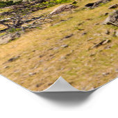 Devil's Tower, Devil's Tower National Monument (WY Poster (Hoek)