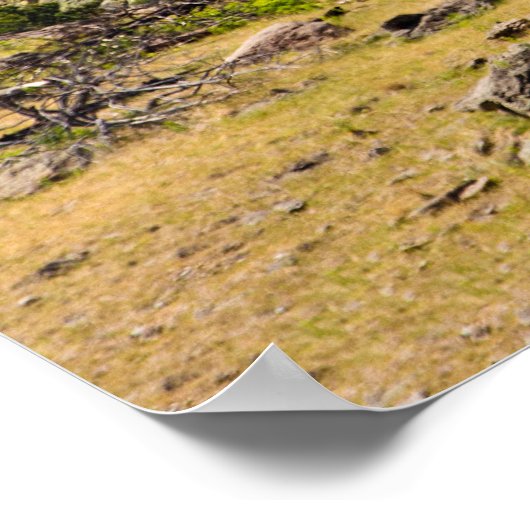 Devil's Tower, Devil's Tower National Monument (WY Poster (Hoek)