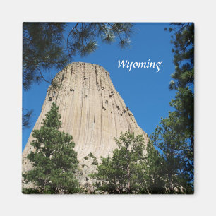 Devils Tower Magneet