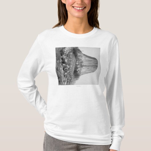 Devil's Tower van het Westen met Fallen T-shirt (Voorkant)