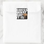 Devinez Quel Jour C'Est Hump Day Camel Stickers (Sac)