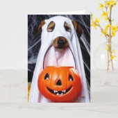 Devinez Qui ? - Carte Halloween (Fleur jaune)