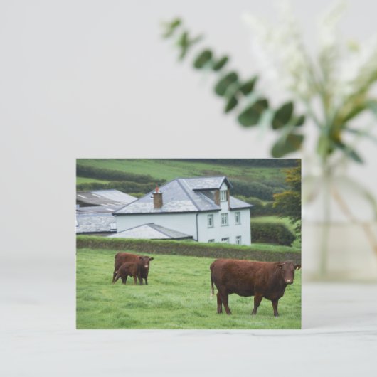 Devon, Engeland Briefkaart (Staand voorkant)