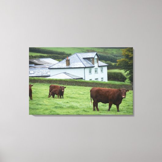 Devon, Engeland Canvas Afdruk (Voorkant)