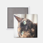 Devon Rex Cat Magnet Magneet (Voorkant / Achterkant)