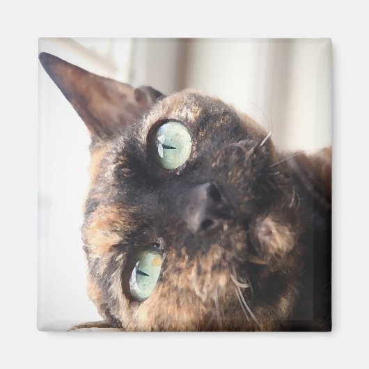 Devon Rex Cat Magnet Magneet (Voorkant)