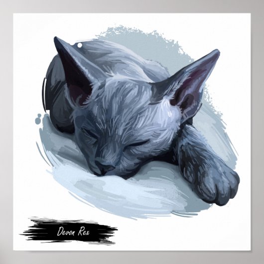 Devon Rex Cat Print | Kat-wanddruk (Voorkant)