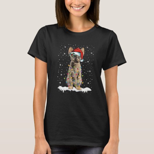 Devon Rex Chat lumières Noël Sweat Noël Kitte (Devant)